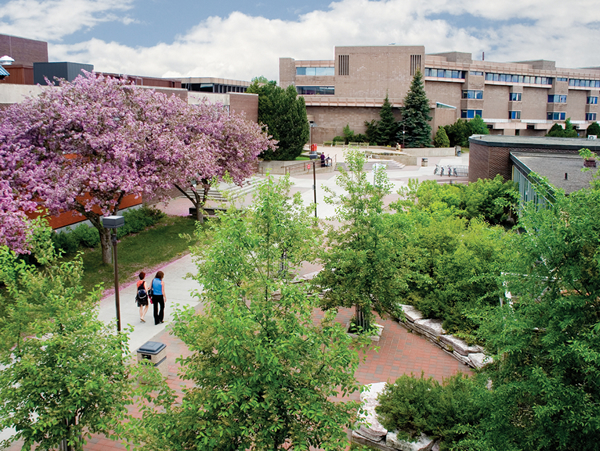Кампус Lakehead University