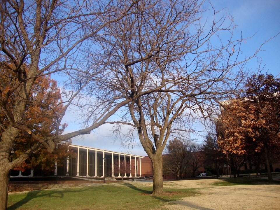 Кампус Wichita State University