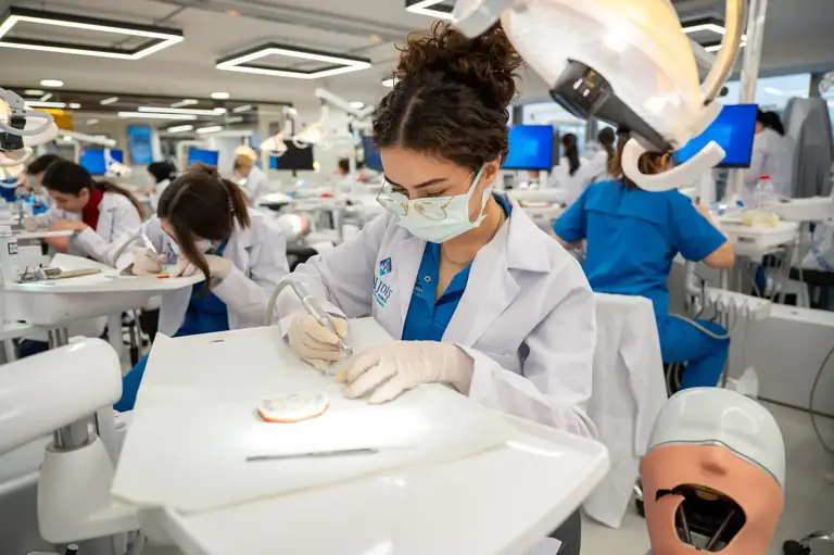 Куда поступить за границу из Алматы: варианты после 11 класса и поступление в 2026 — StudyU