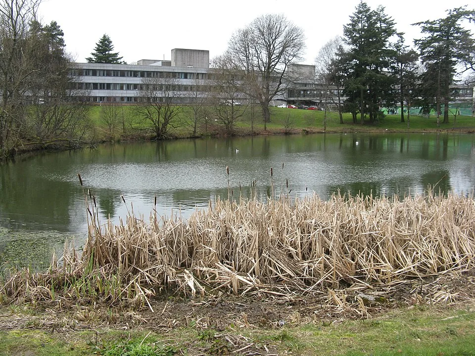 Кампус University of Stirling, март 2020 года
