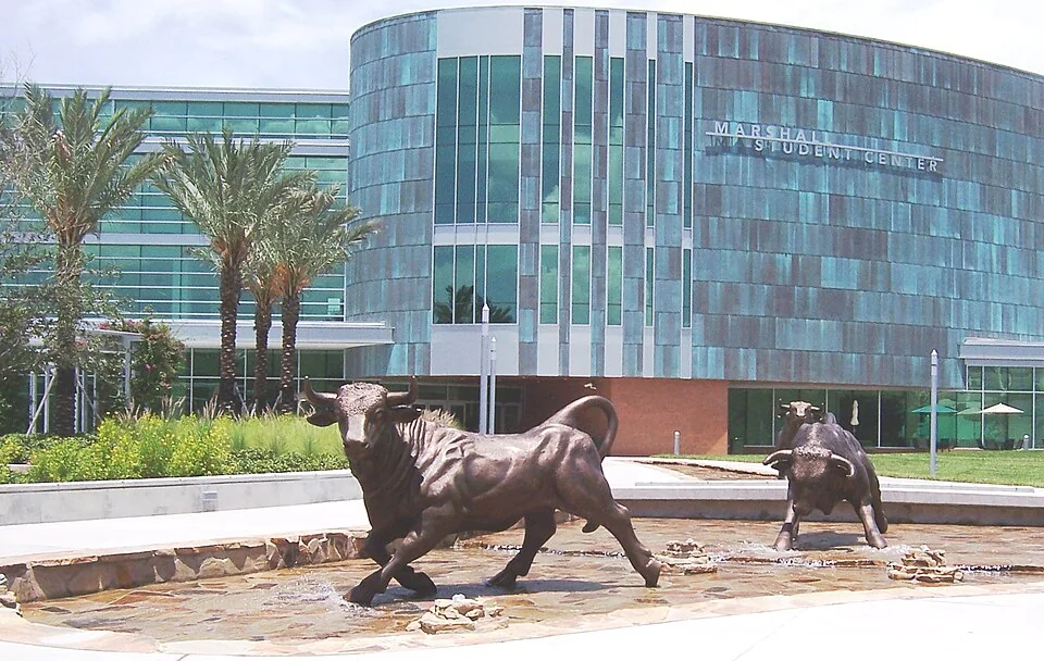 Скульптура Running of the Bulls перед Marshall Center в кампусе University of South Florida, 2009 год
