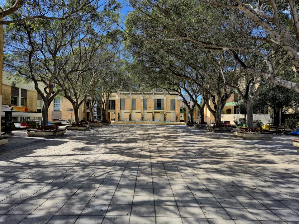 Площадь с деревьями перед библиотекой University of Malta в Мсиде