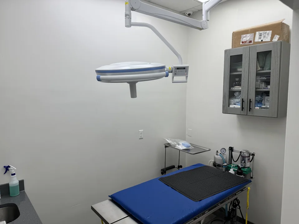 Table with a blue pad under a surgical light, an anaesthesia machine and a cabinet of supplies beside it