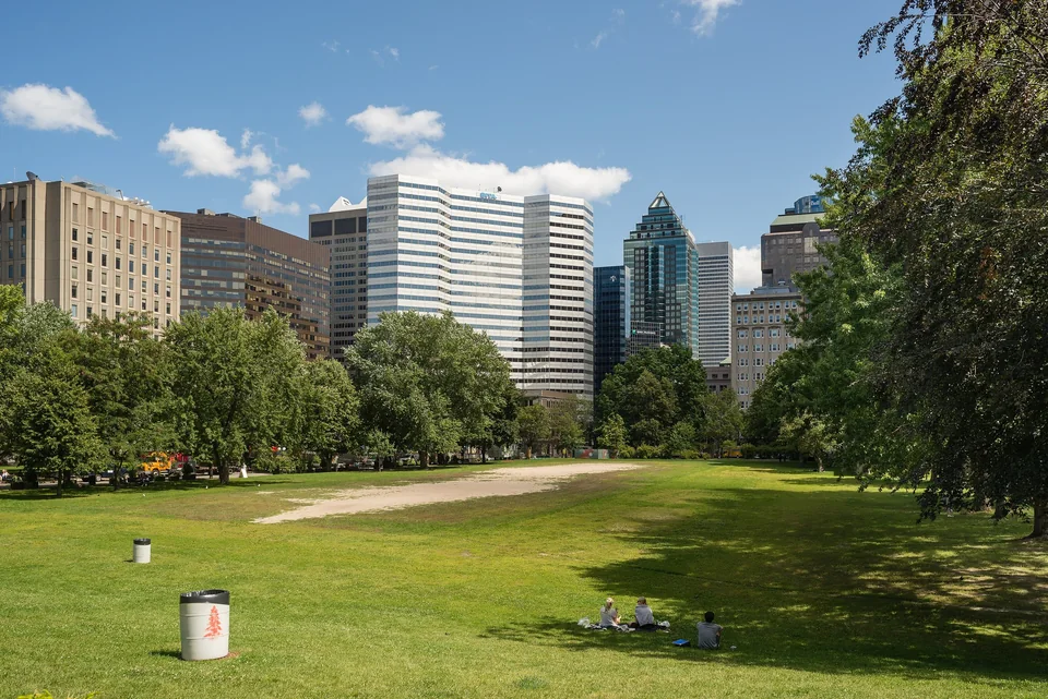 Зелёная лужайка кампуса Университета McGill, за деревьями — небоскрёбы делового центра Монреаля