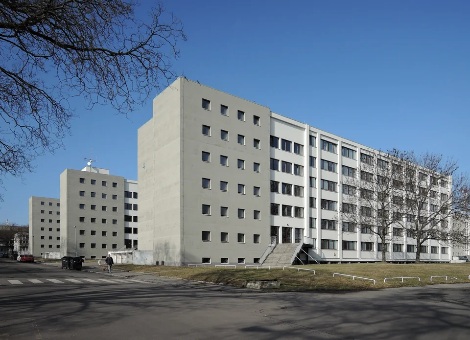 Несколько светло-серых многоэтажных корпусов общежития вдоль улицы под ясным голубым небом, слева голые ветви дерева