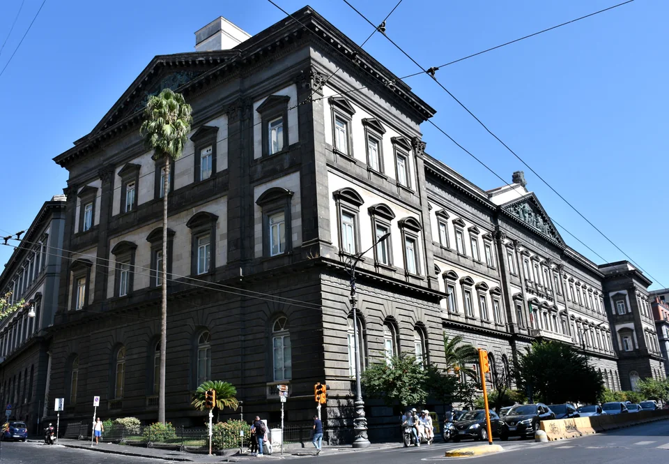 Dark stone facade of the University of Naples Federico II main building with a palm tree on the street corner