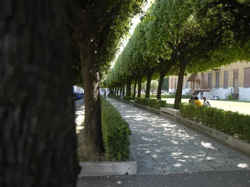 Student life at Sapienza